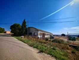 Terreno en venta en Gallur, Aragon photo 0