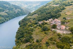 Casas de pueblo en venta en Pantón, Terra de lemos photo 0