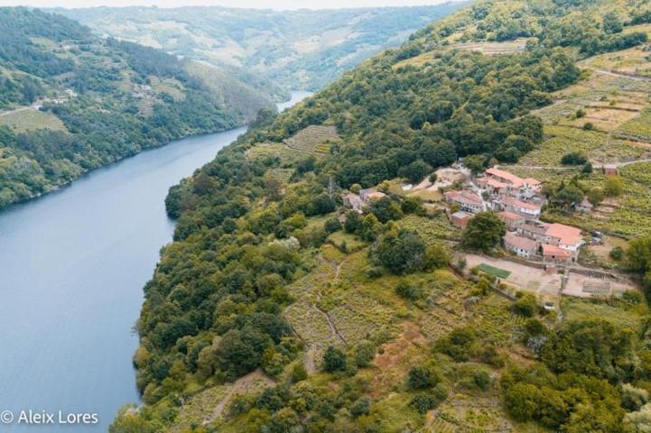 Casas de pueblo en venta en Pantón, Terra de lemos photo 0