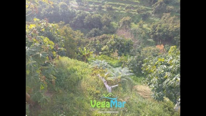 Terreno en venta en Jete, Camino de Río Seco, 18690 photo 0