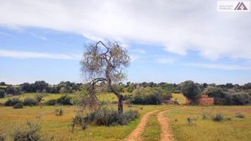 Terreno en venta en Santanyí, Calonge photo 0