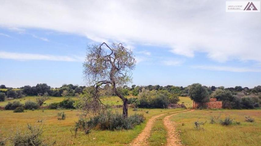 Terreno en venta en Santanyí, Calonge photo 0
