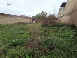 Terreno en venta en Mérida, Centro photo 0