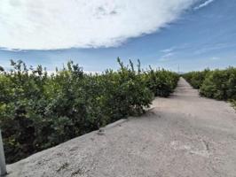 Terreno en venta en Albatera, EL MOCO photo 0