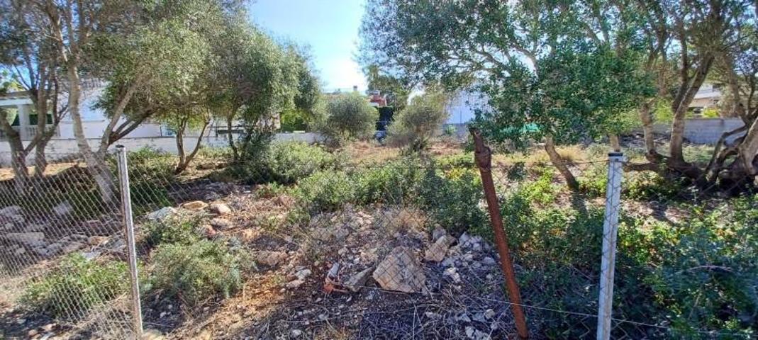 Terreno en venta en Llucmajor, Llucmajor (Campo) photo 0