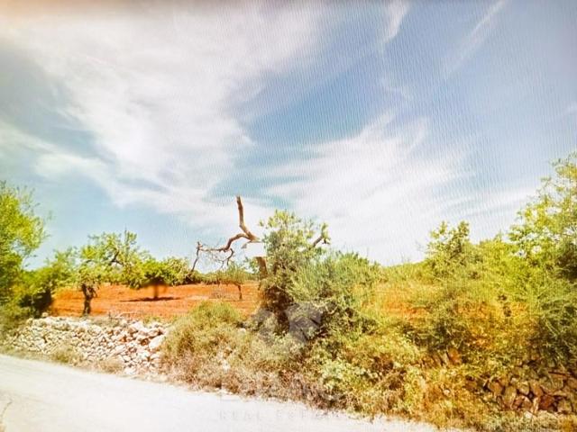 Terreno en venta en Manacor photo 0