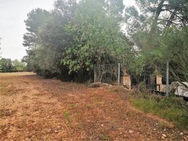 Chalet en venta en Felanitx, Cas Concos photo 0