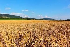 Chalet en venta en Calamocha, CENTRO photo 0