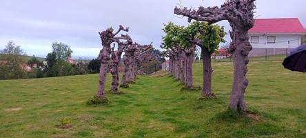 Terreno en venta en Alfoz de Lloredo, Barrio San Damil, 39320 photo 0