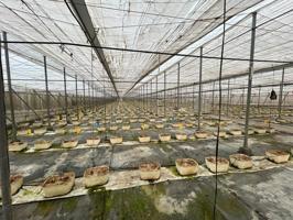 Terreno en venta en Motril, El Varadero photo 0