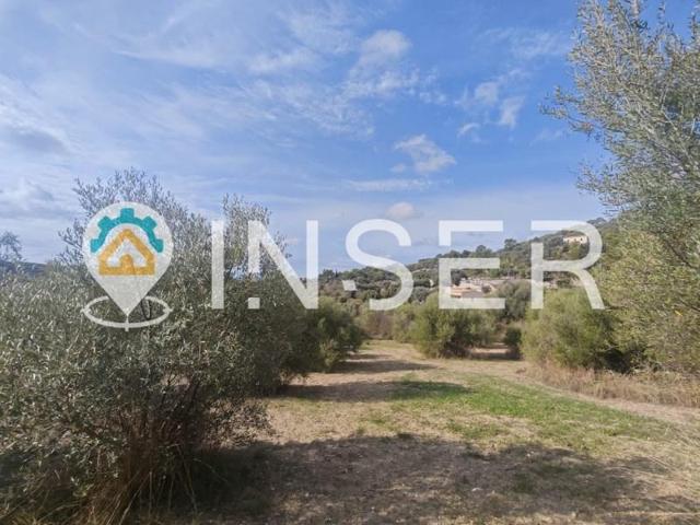 Chalet en venta en Selva photo 0