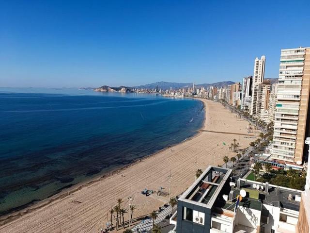 Apartamento en venta en Benidorm, Levante photo 0
