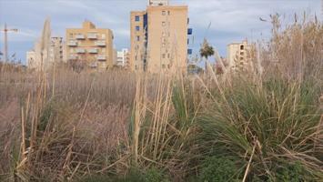 Terreno en venta en Piles, Carrer Muntanyar, 30, 46712 photo 0