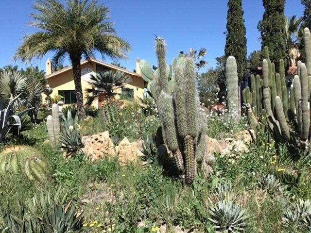 Casa con terreno en venta en Dolores, CTRA. DE DOLORES photo 0