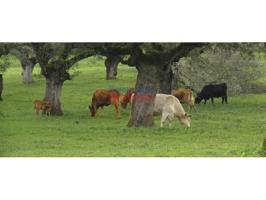 Chalet en venta en Alía photo 0