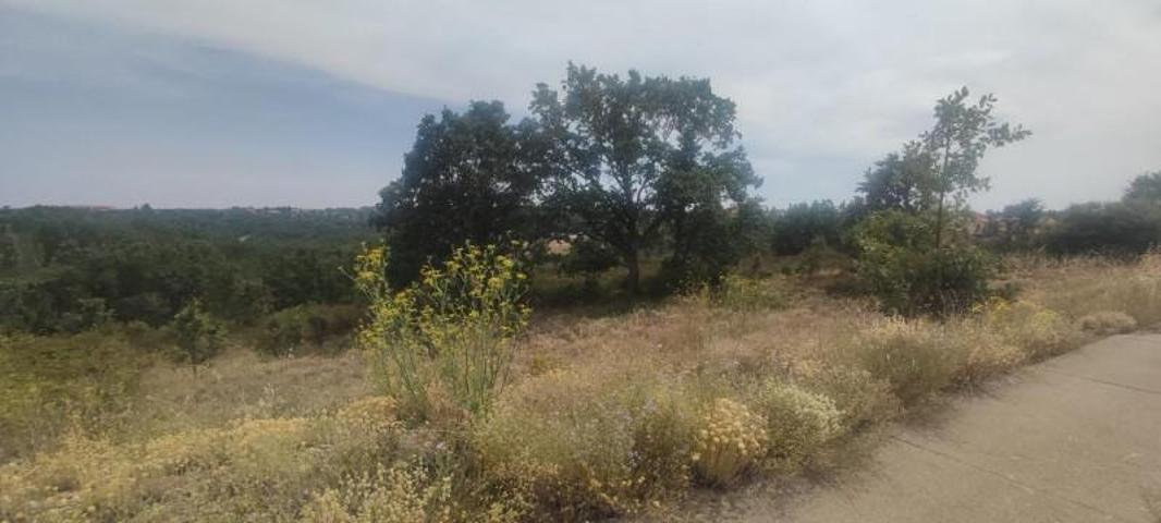 Terreno en venta en Garrafe de Torío, ESTRELLA DE IZAR SECTOR RUADOS, 24891 photo 0