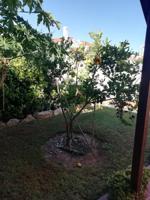 Chalet en venta en Almerimar, ALMERIGOLF photo 0