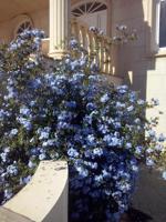 Chalet en venta en San Vicente del Raspeig, Baiona Alta photo 0