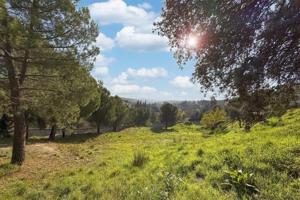 Terreno en venta en Torrelodones, El Monte photo 0