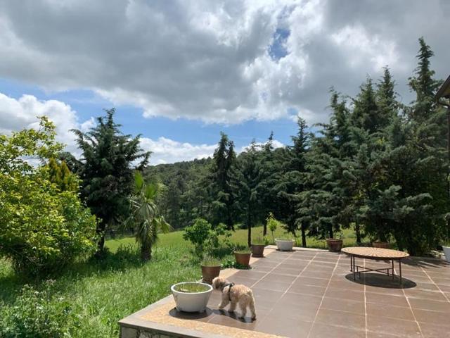 Casa con terreno en venta en Calera de León, Calera De León photo 0