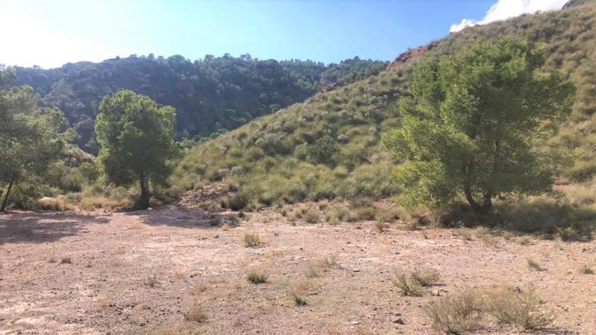 Terreno en venta en Lorca, Zarcilla de Ramos-Doña Inés photo 0