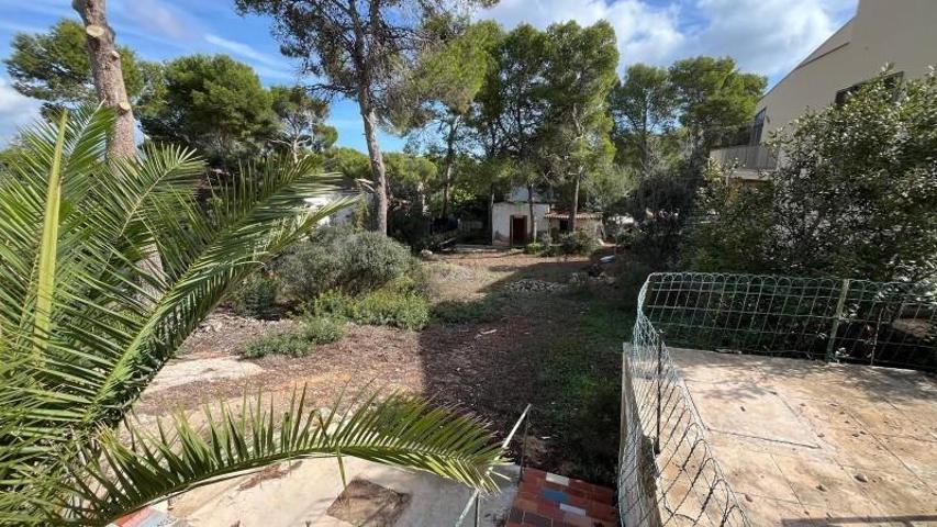 Terreno en venta en Calvia, El Toro photo 0