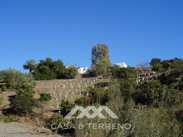 Chalet en venta en Viñuela photo 0