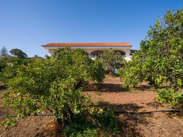 Chalet en venta en Ingenio, LAS MEJIAS photo 0