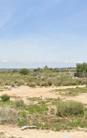 Local comercial en venta en Torrevieja, La Mata photo 0