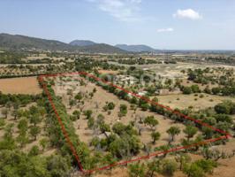 Terreno en venta en Campanet photo 0