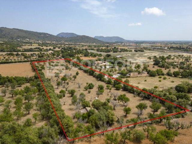 Terreno en venta en Campanet photo 0