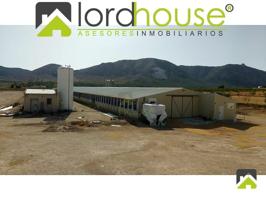 Nave industrial en venta en Lorca, Zarcilla de Ramos photo 0