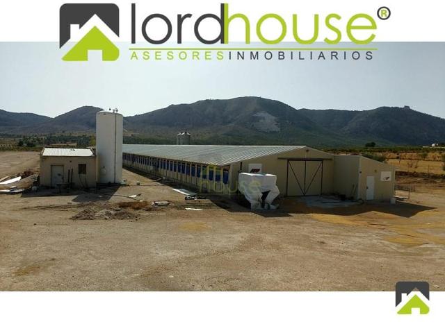 Nave industrial en venta en Lorca, Zarcilla de Ramos photo 0