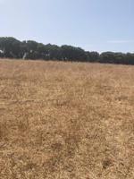 Chalet en venta en Barbate, Manzanete photo 0