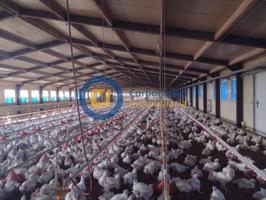 Nave industrial en venta en Lorca, Zarcilla de Ramos photo 0