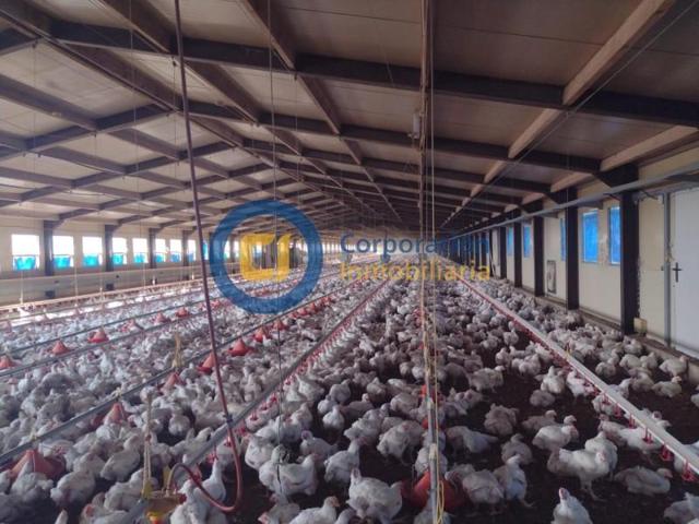 Nave industrial en venta en Lorca, Zarcilla de Ramos photo 0