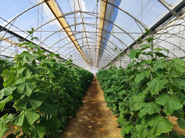 Terreno en venta en Níjar, Níjar photo 0