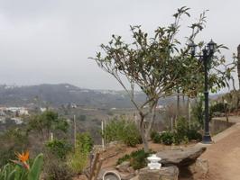 Casa con terreno en venta en Las Palmas de Gran Canaria, La Milagrosa photo 0