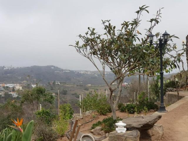 Casa con terreno en venta en Las Palmas de Gran Canaria, La Milagrosa photo 0