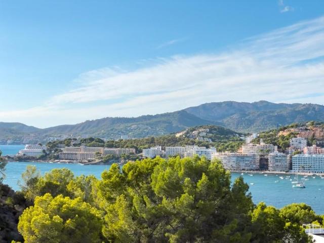 Bungalow en venta en Calvia, Costa de la Calma photo 0