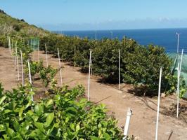 Terreno en venta en Buenavista del Norte, BUENAVISTA DEL NORTE, GARACHICO, LOS SILOS photo 0