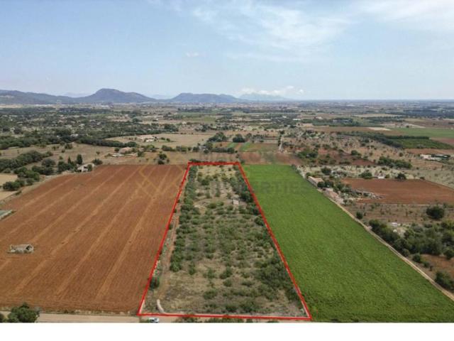 Terreno en venta en Búger photo 0