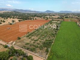 Terreno en venta en Búger photo 0