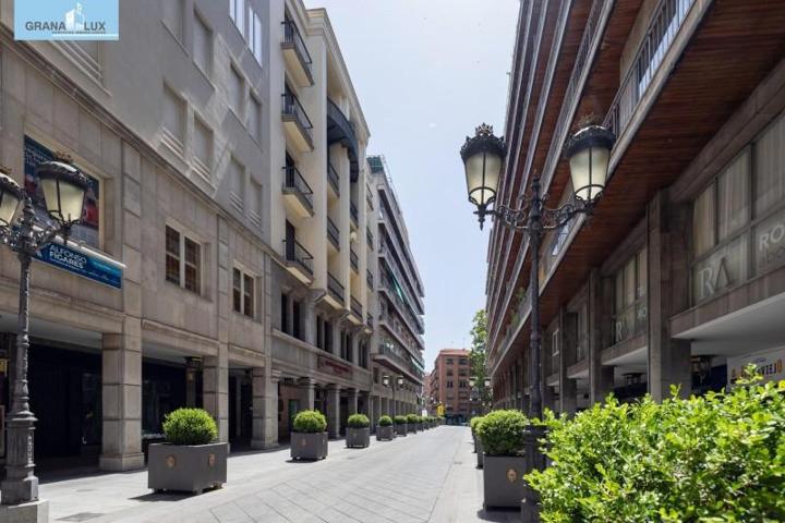 Piso en venta en Granada, Centro photo 0