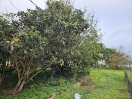 Terreno en venta en La Laguna, San Cristóbal de La Laguna photo 0