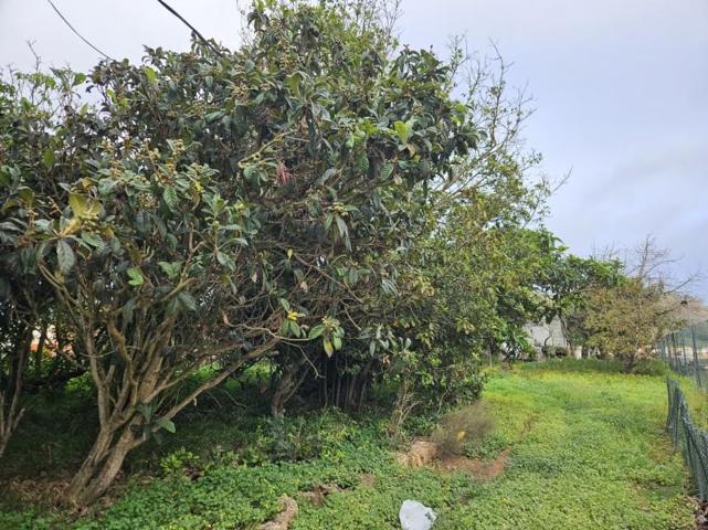 Terreno en venta en La Laguna, San Cristóbal de La Laguna photo 0