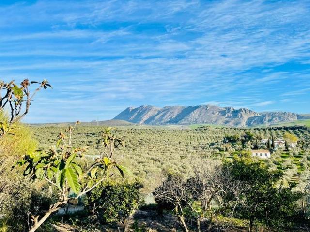 Casa con terreno en venta en Antequera, Polígono - Alrededores - Pedanías photo 0