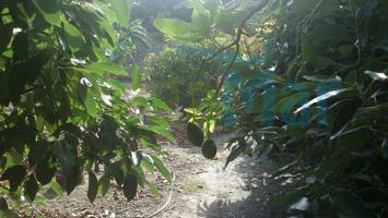 Terreno en venta en Almuñécar photo 0