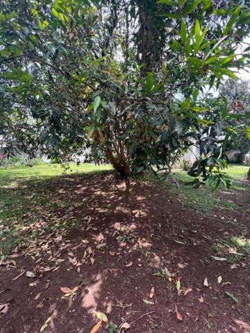 Terreno en venta en Vitoria-Gasteiz, Zona 15 photo 0