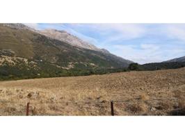 Casa con terreno en venta en Jimera de Líbar photo 0